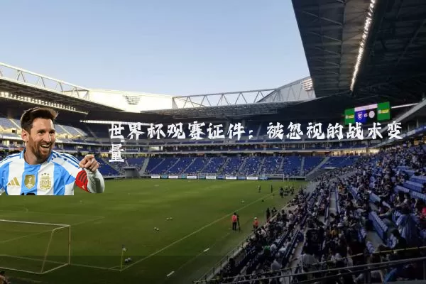 世界杯观赛证件：被忽视的战术变量
